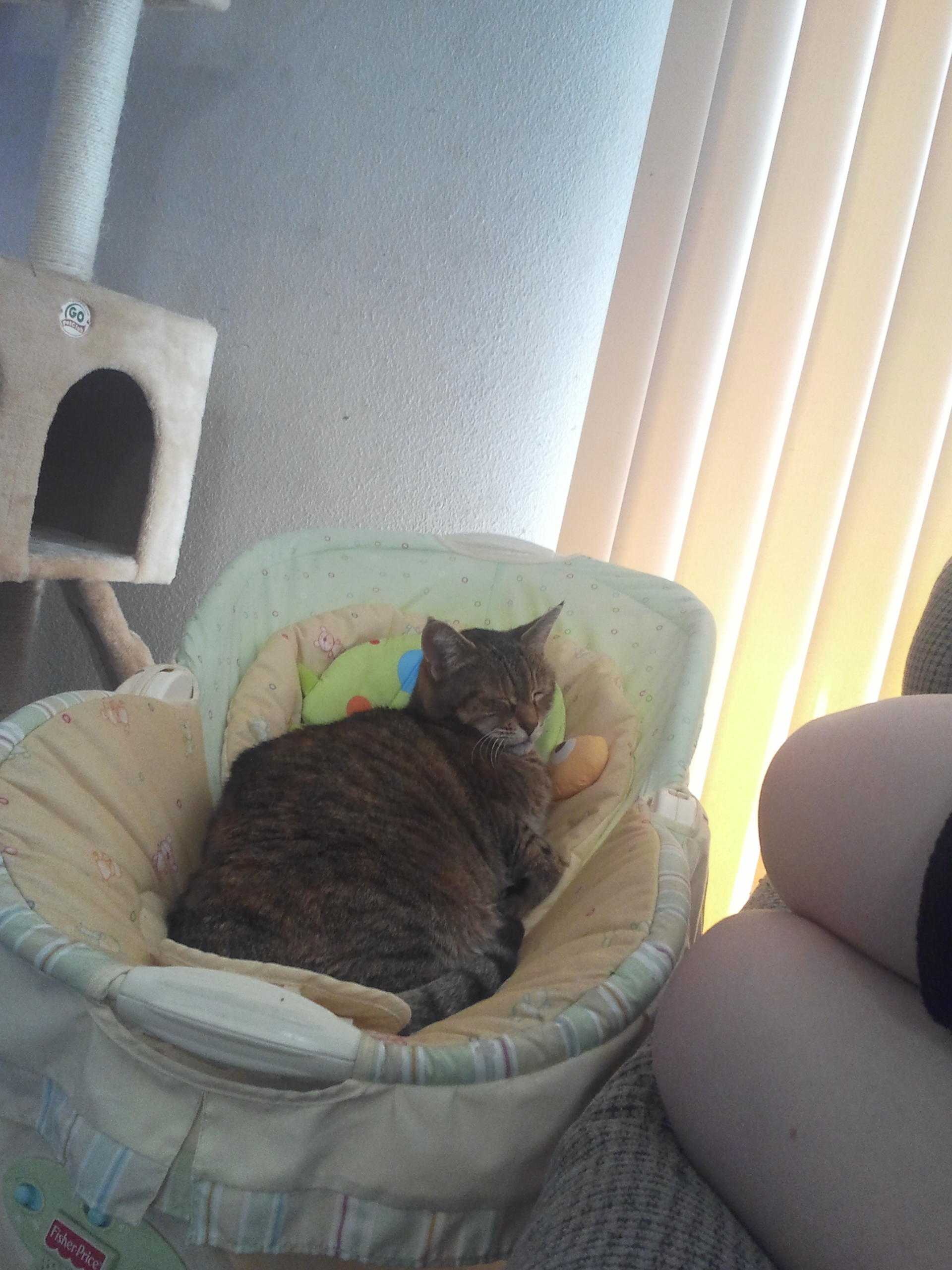 Marlin Rocker