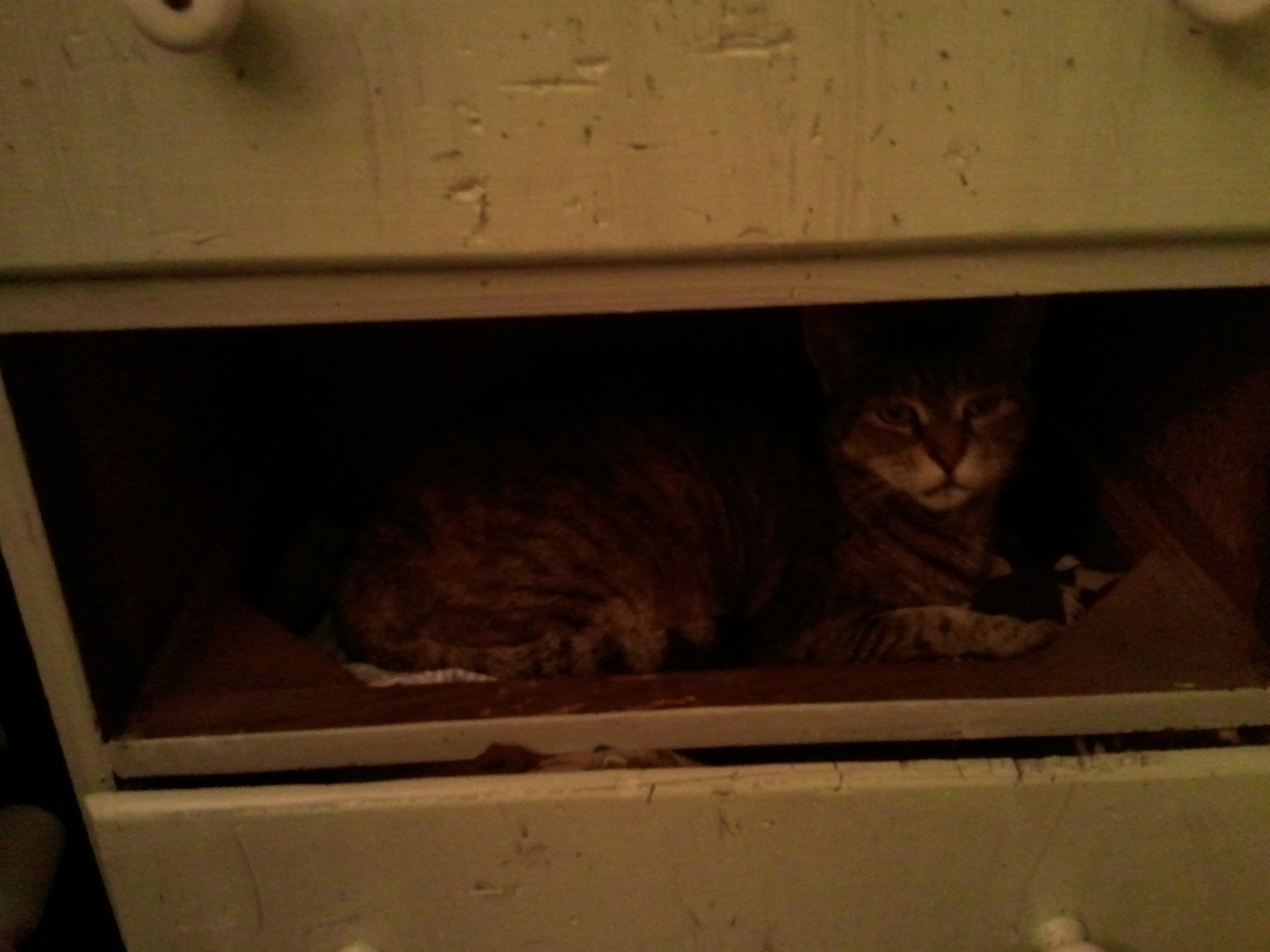 Dresser Drawer