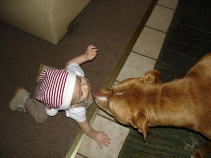 Doggies