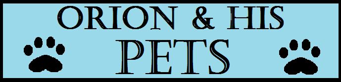 Orion & his pets