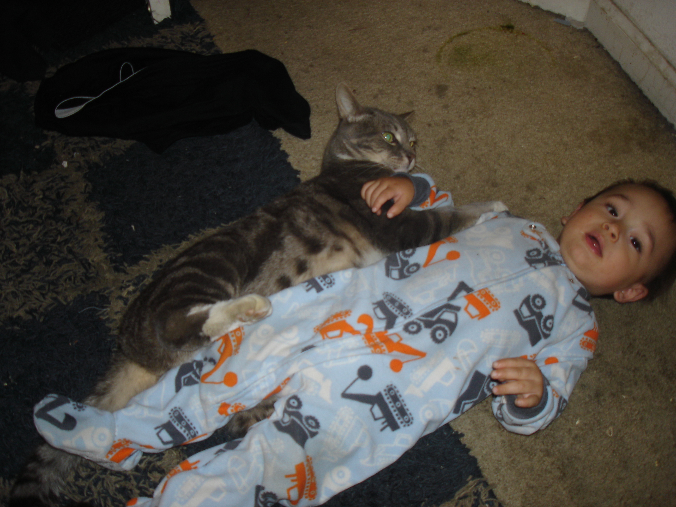 Tiffy and Orion laying