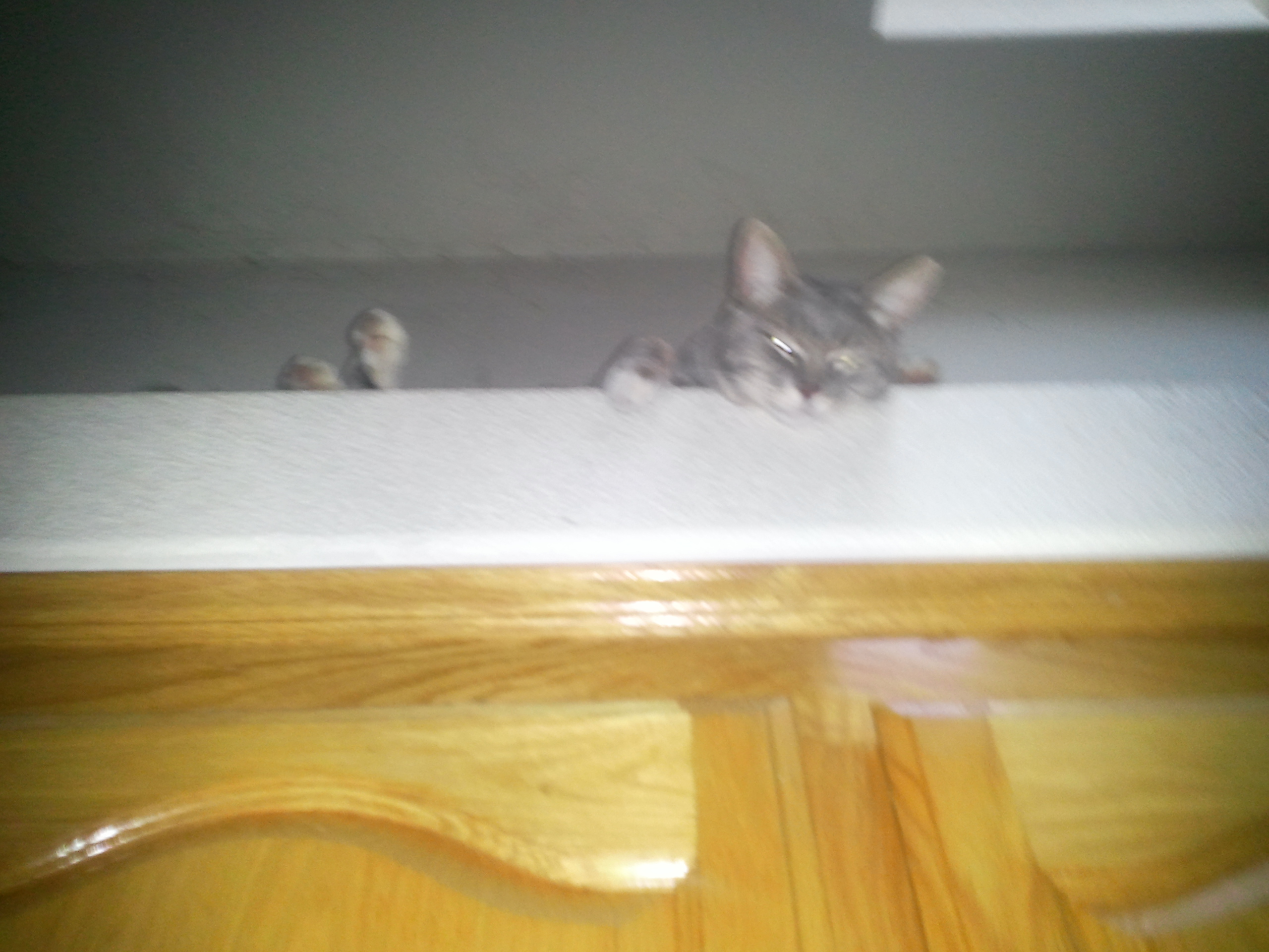 Tiffy Overhang