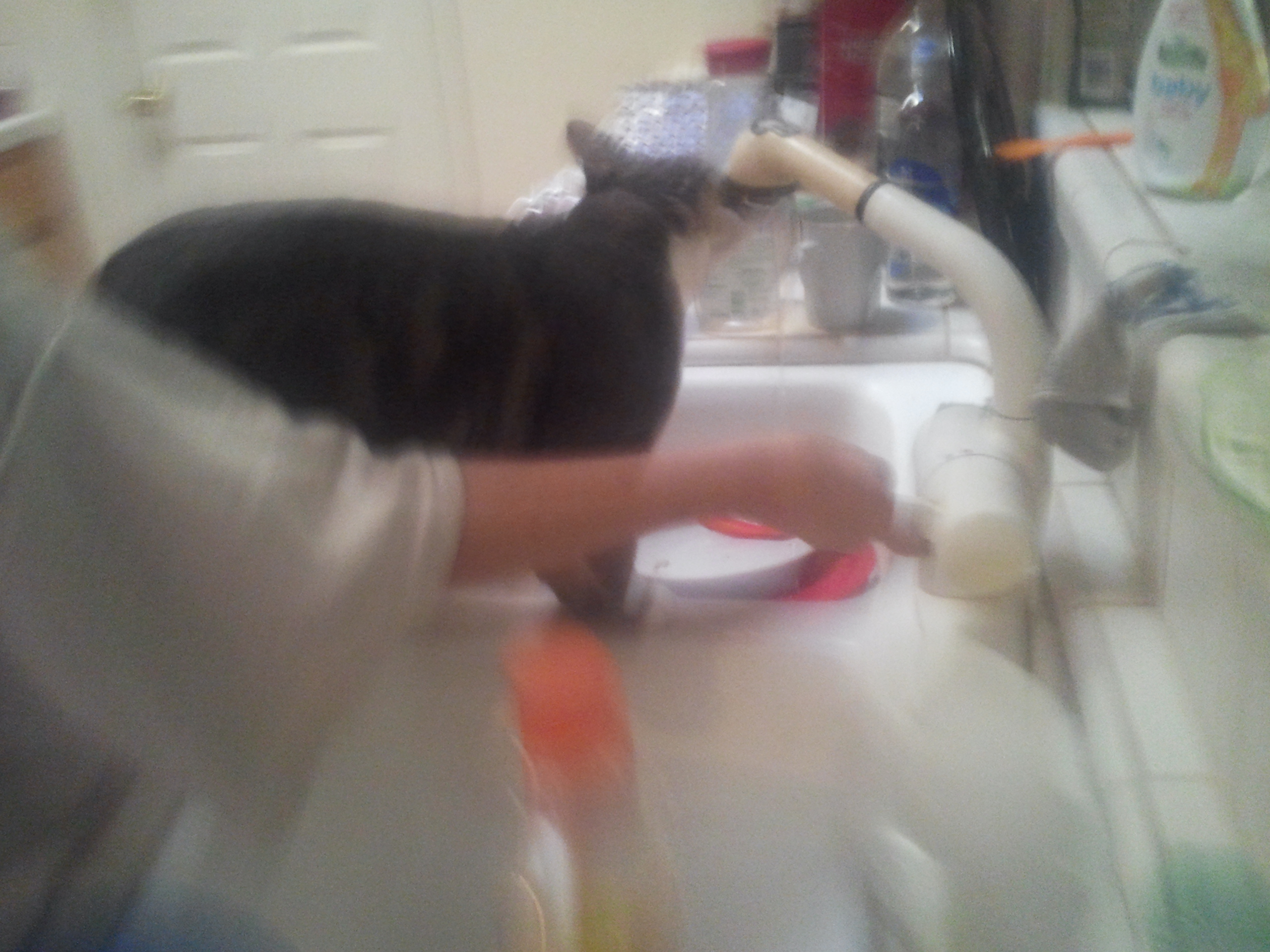 Tiffy Drink
