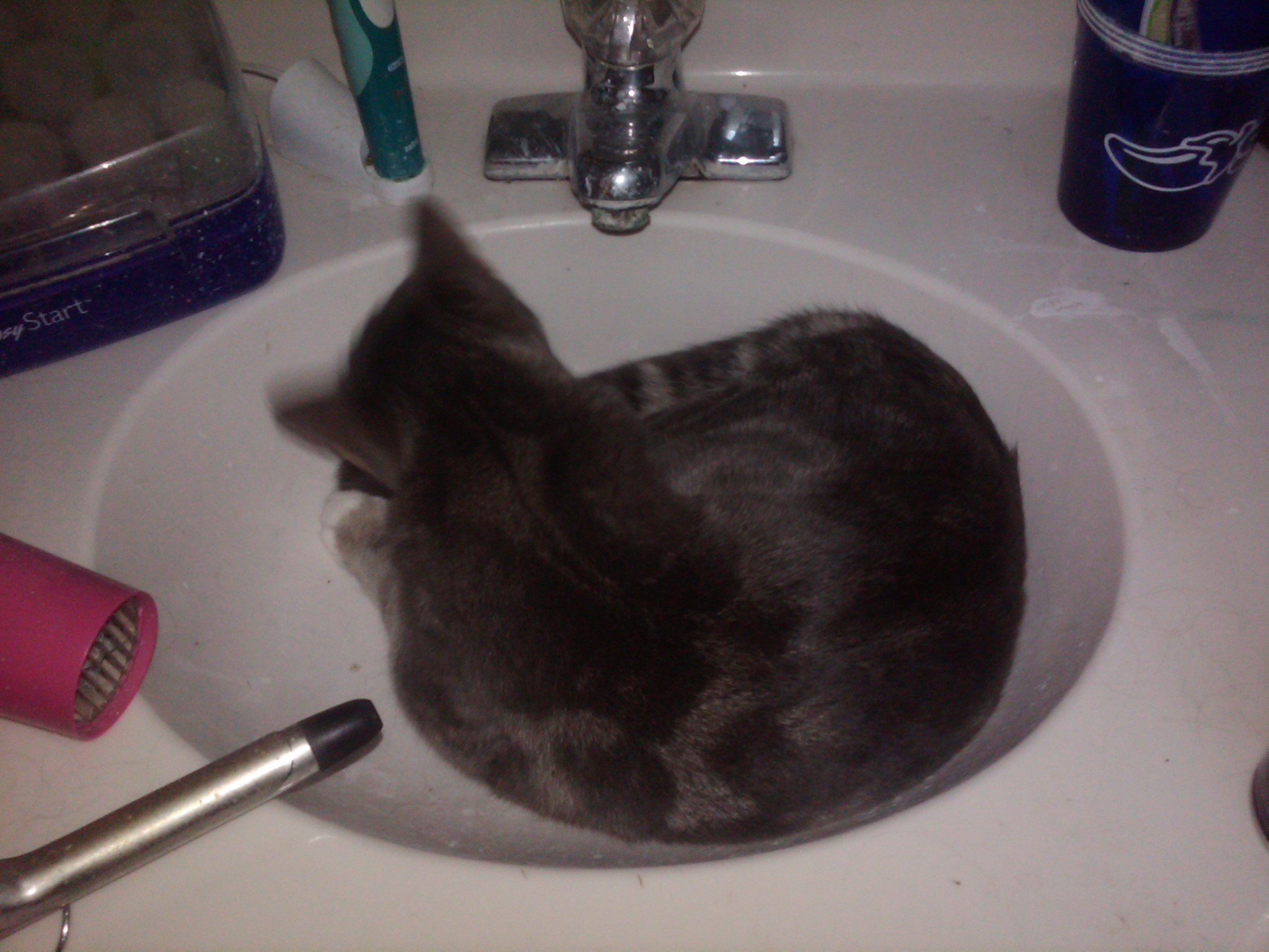 Tiffy Sink