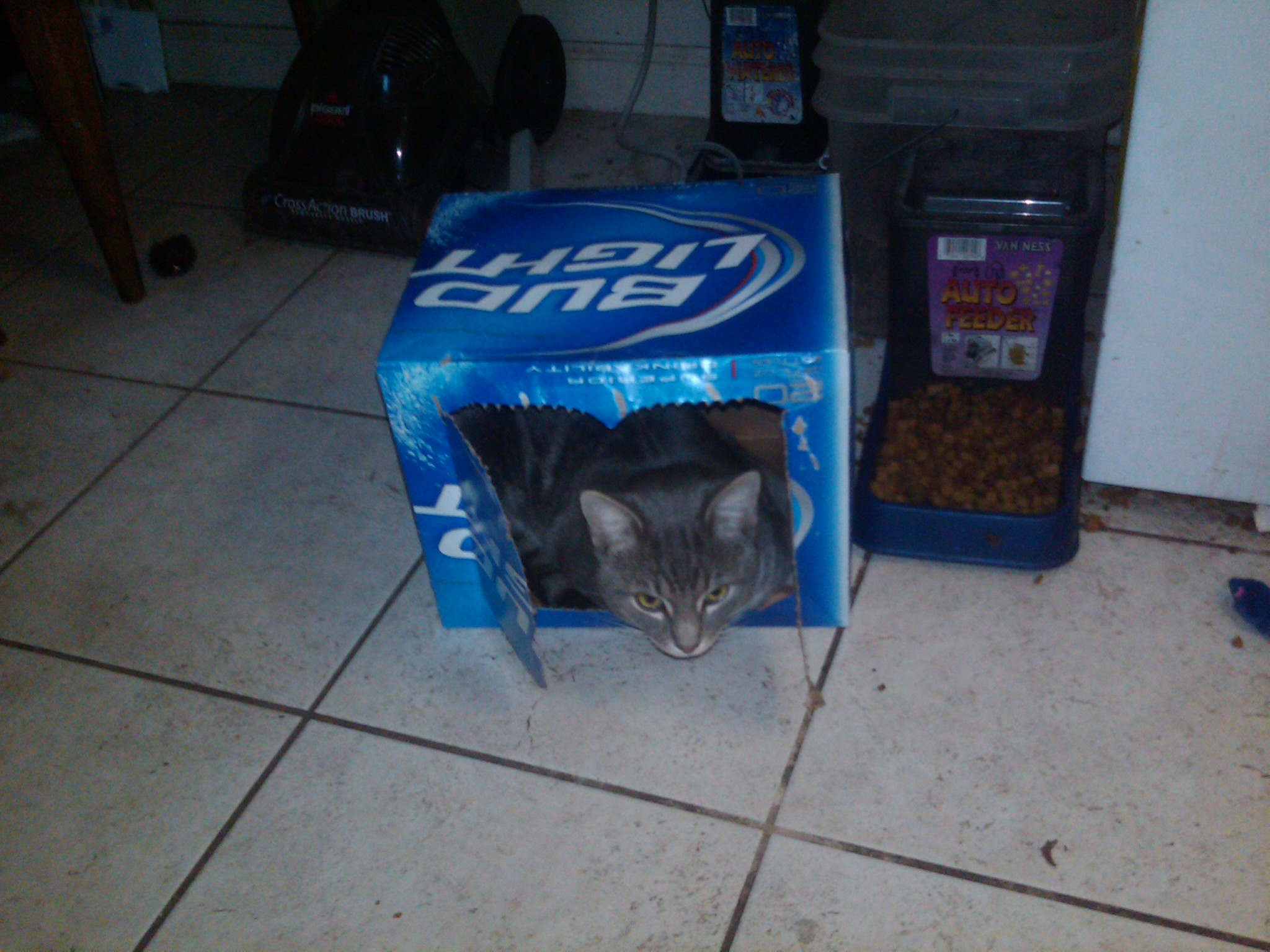 Bud Light Tiffers