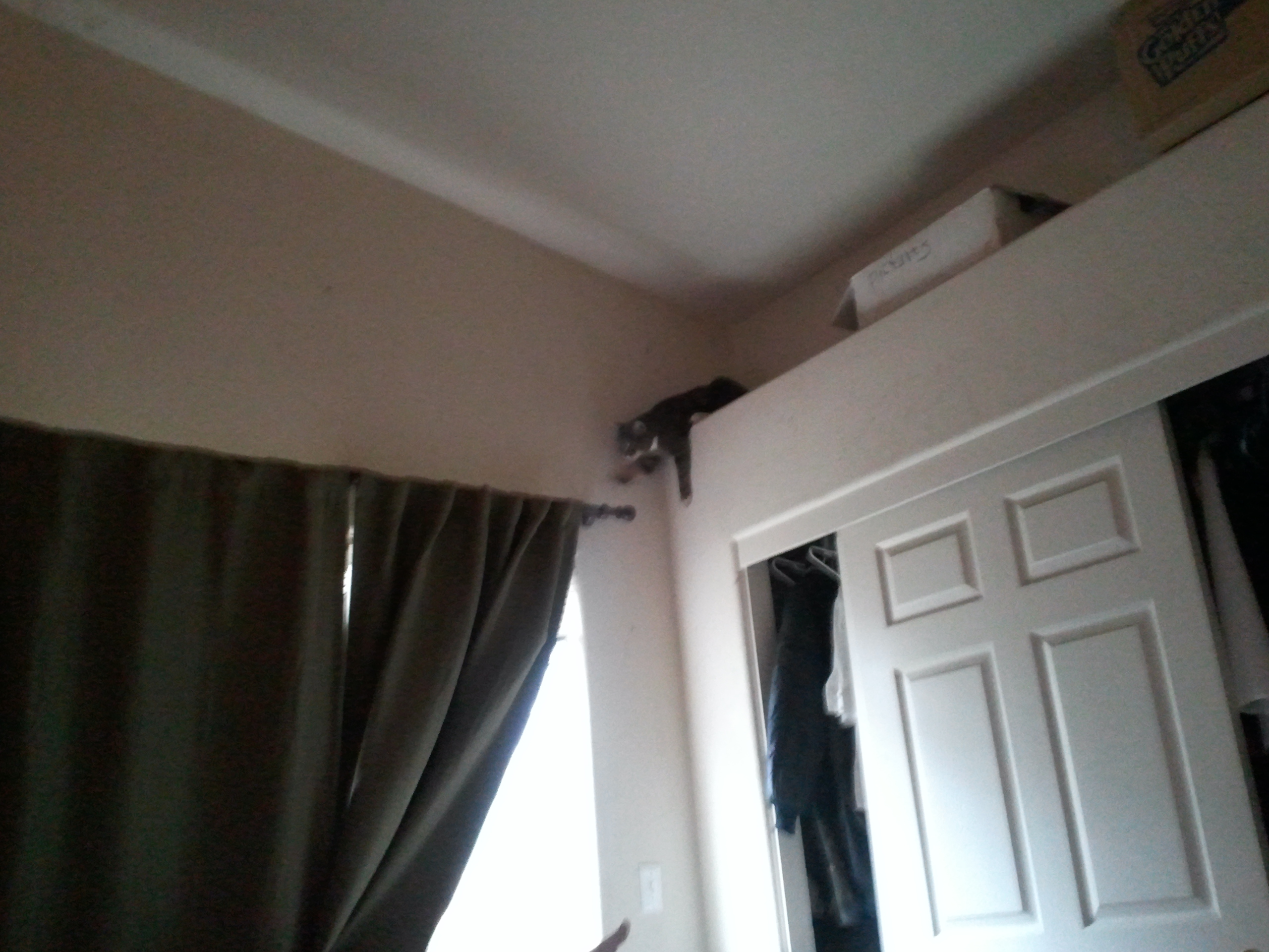 Tiffy Curtains
