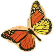 Borbase1cor.gif (13219 bytes)