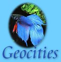 Geocities