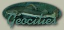 Geocities