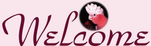Welcome