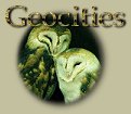 Geocities