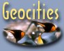 Geocities