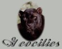 Geocities