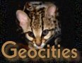 Geocities