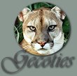 Geocities