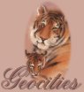 Geocities