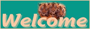 Welcome