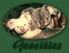 Geocities