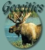 Geocities