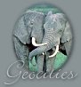 Geocities