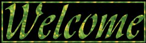 Welcome