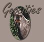 Geocities