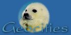 Geocities