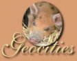 Geocities