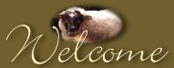 Welcome