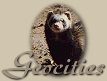 Geocities