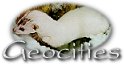 Geocities