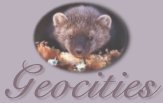 Geocities