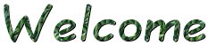 Welcome