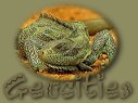 Geocities