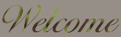 Welcome