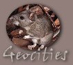 Geocities