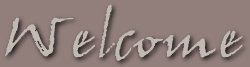 Welcome