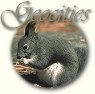 Geocities