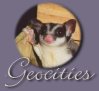 Geocities