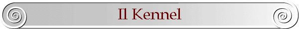 Il Kennel