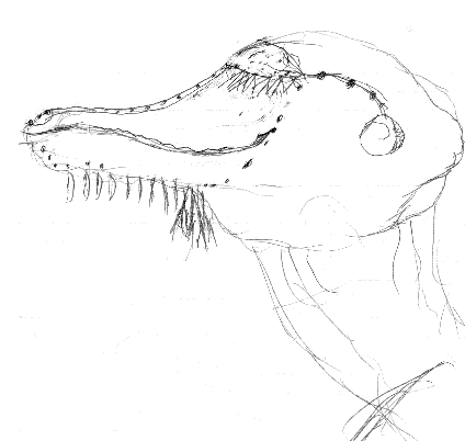 Sketch of Bahtwin