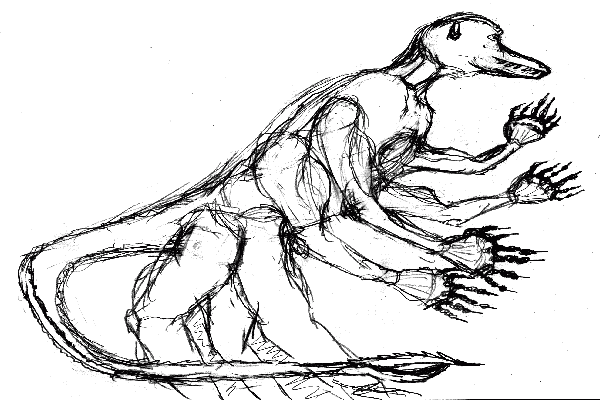 Female Soro from right side