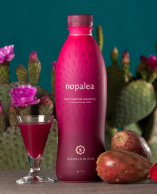 TRIVITA NOPALEA SONORAN BLOOM MAINE