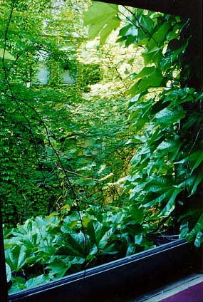 courtyard at day