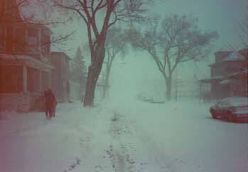 harriet avenue