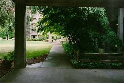 walkway from campus