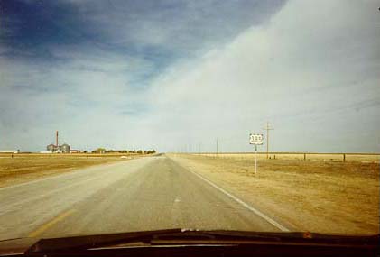 cattle country