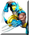 wolverine.jpg (79773 bytes)