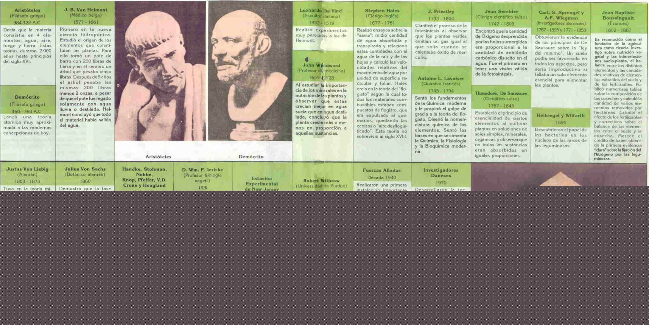 Historia de la Hidropon&iacute;a
