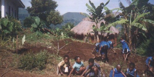 Farm Work